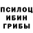Псилоцибиновые грибы Magic Shrooms Oleg Kadysh