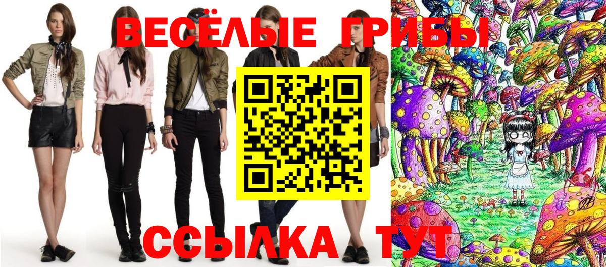 Галлюциногенные грибы мицелий  Вход с VPN  Прокопьевск  Галлюциногенные грибы Cubensis 